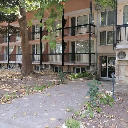 Navi Sjabla