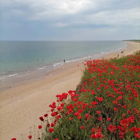 Navi Hotell