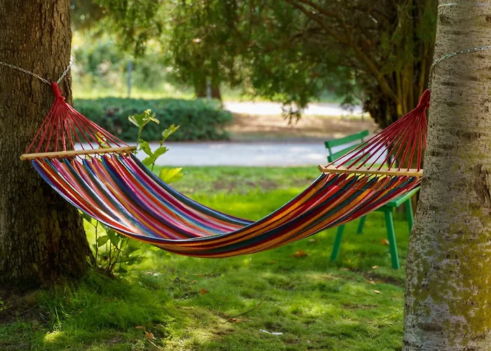 Хотел Navi Шабла