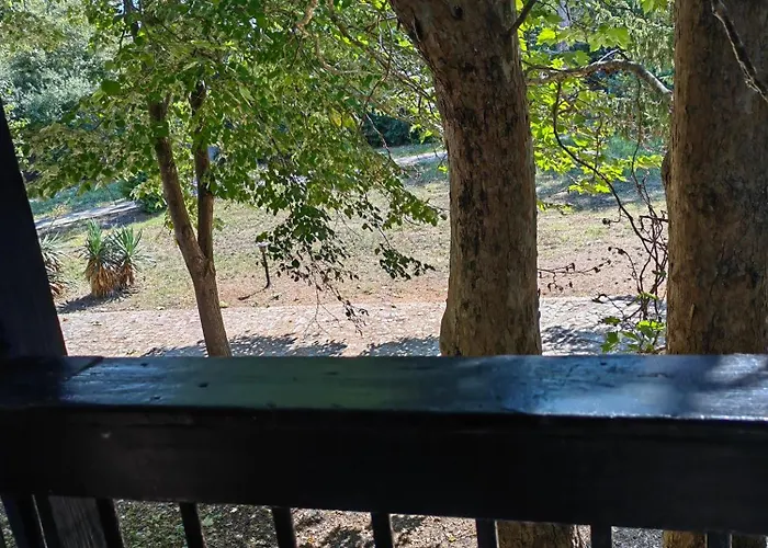 Navi Хотел Шабла